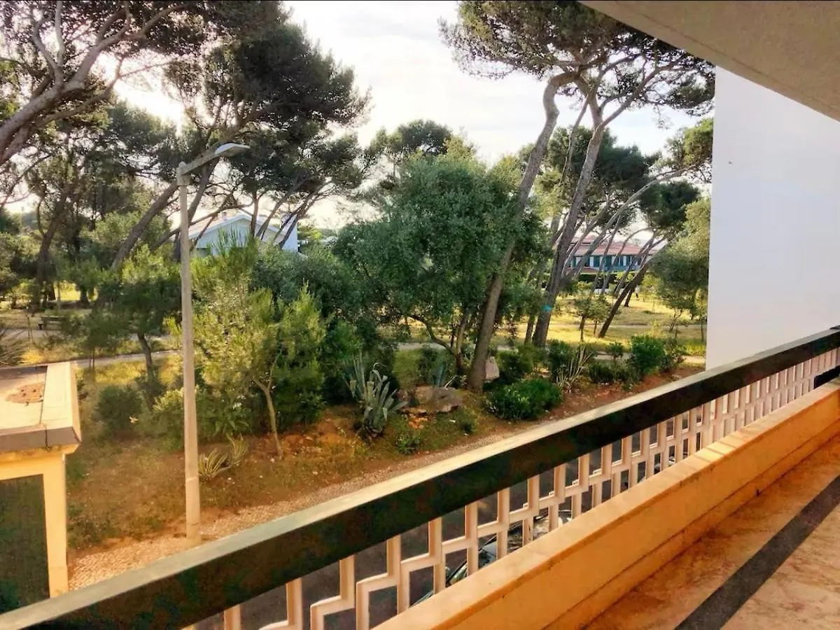 The Crow Seaside I Apartment Parede Portugal